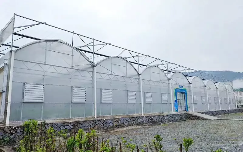 Scannán Cheaptha Teasa Scannán Plaisteacha Multispan